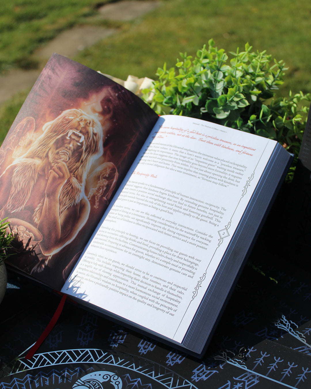 PREORDER • Hávamál: The Wisdom of Odin