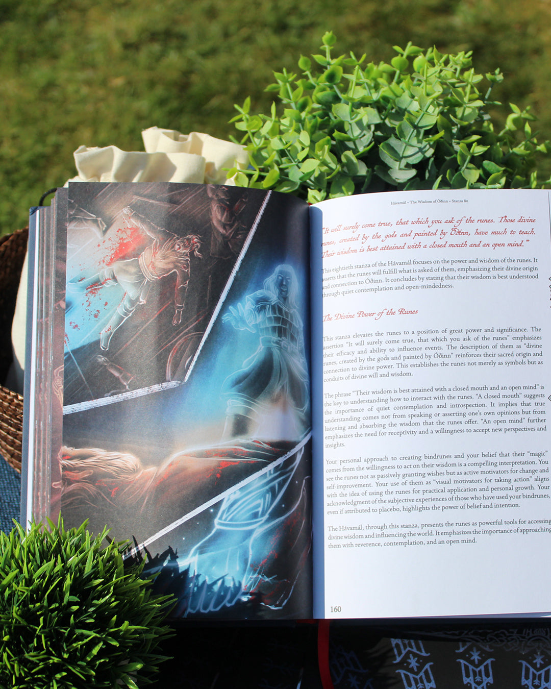 PREORDER • Hávamál: The Wisdom of Odin