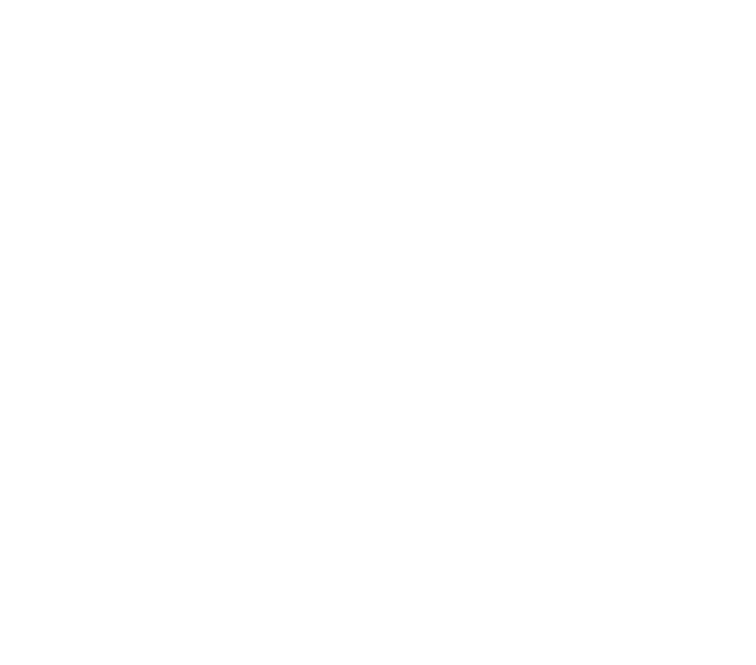 Apparel - Einarr's Journey