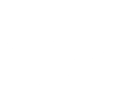 Einarr's Journey logo