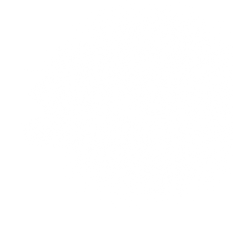 Rune Converter | Write in runes & vice versa – Einarr's Journey